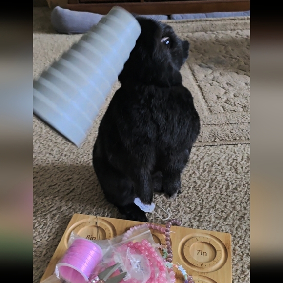10mm Sugilite Bracelet - Picture 6 of 9